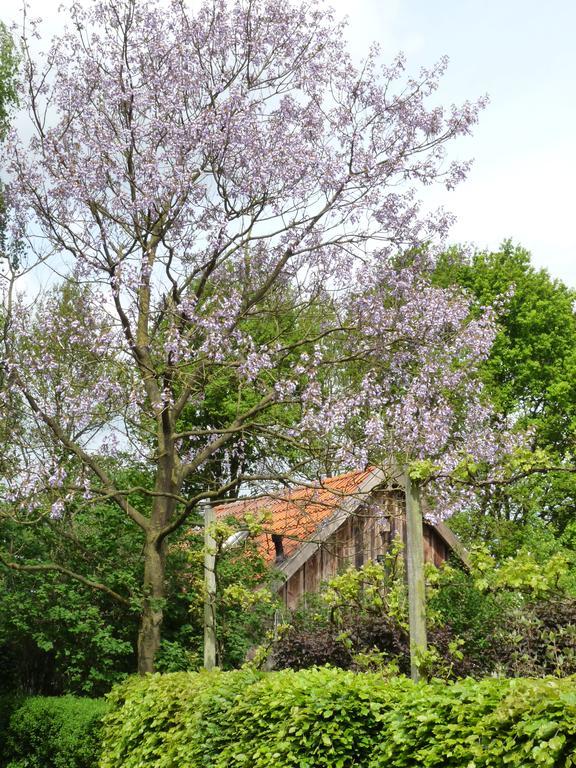 Bed&Breakfast Hongerdyck Bruchterveld Exterior foto